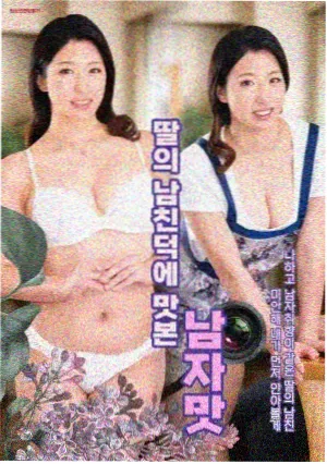 朝鲜王朝密档剧集海报
